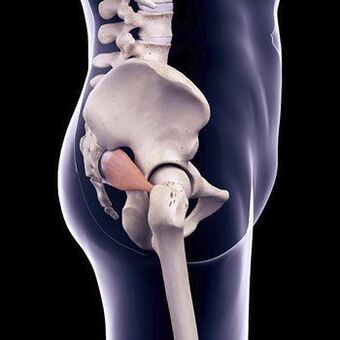 A dor nas costas da daga pode deberse ao espasmo do músculo piriforme