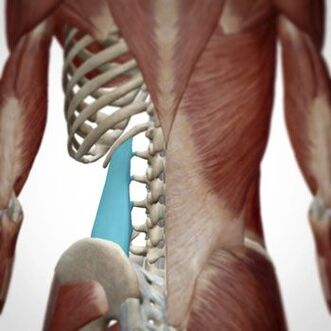 A dor pode aparecer en varias áreas das costas